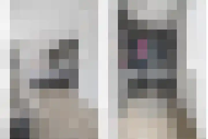 Menkopad 2 Enschede thumbnail 27