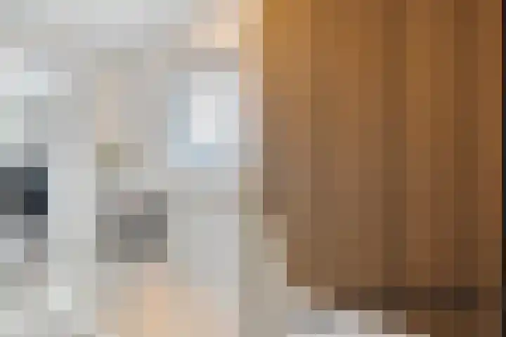 Menkopad 2 Enschede thumbnail 33