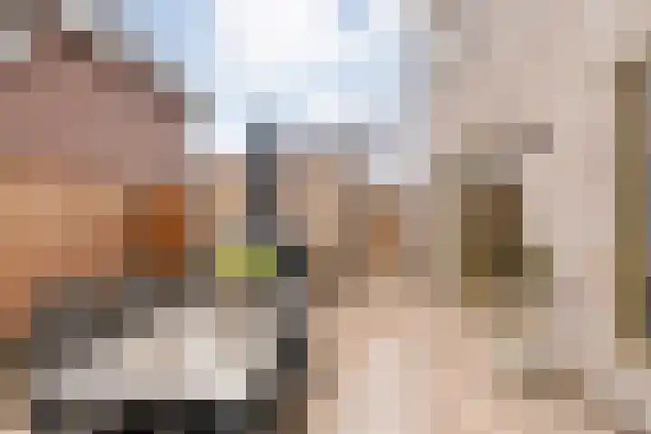 Menkopad 2 Enschede thumbnail 41