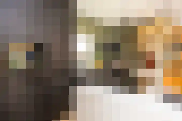 Menkopad 6 Enschede thumbnail 14