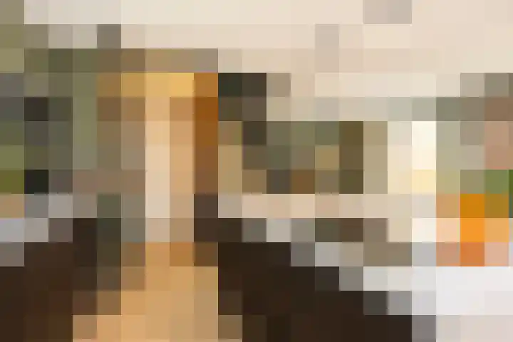 Menkopad 6 Enschede thumbnail 15