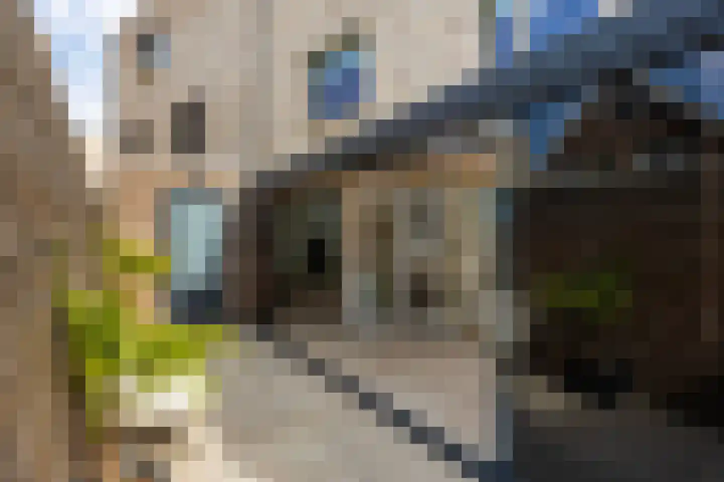 Menkopad 8 Enschede thumbnail 19