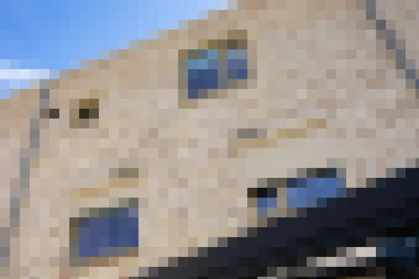 Menkopad 8 Enschede thumbnail 20