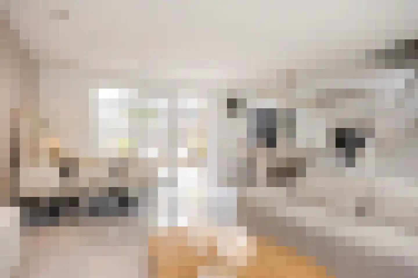 Menkopad 8 Enschede thumbnail 9