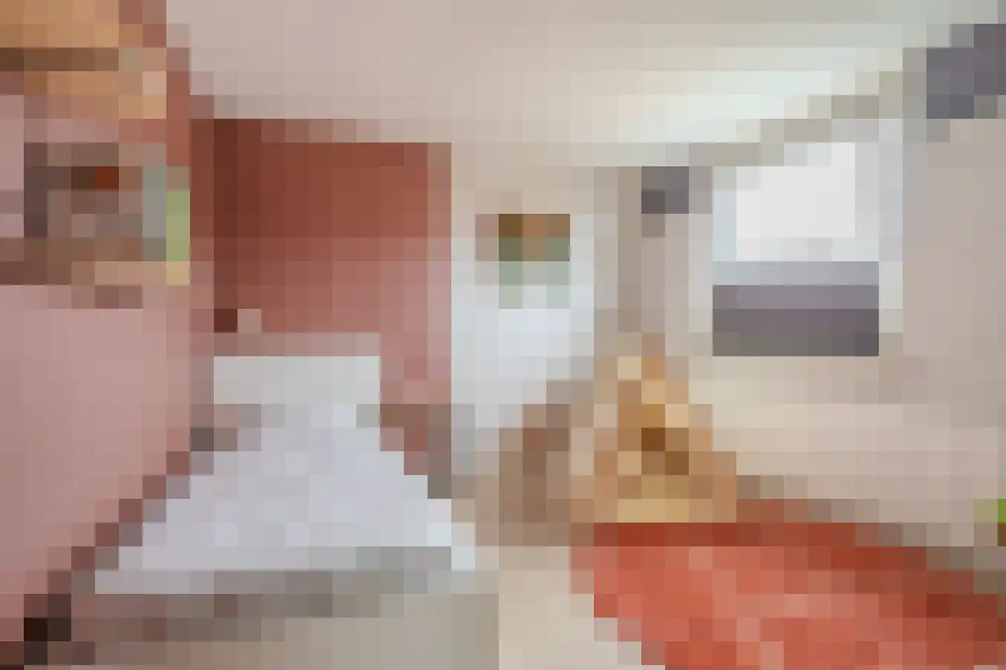 Mennersingelaan 4 Onstwedde thumbnail 30
