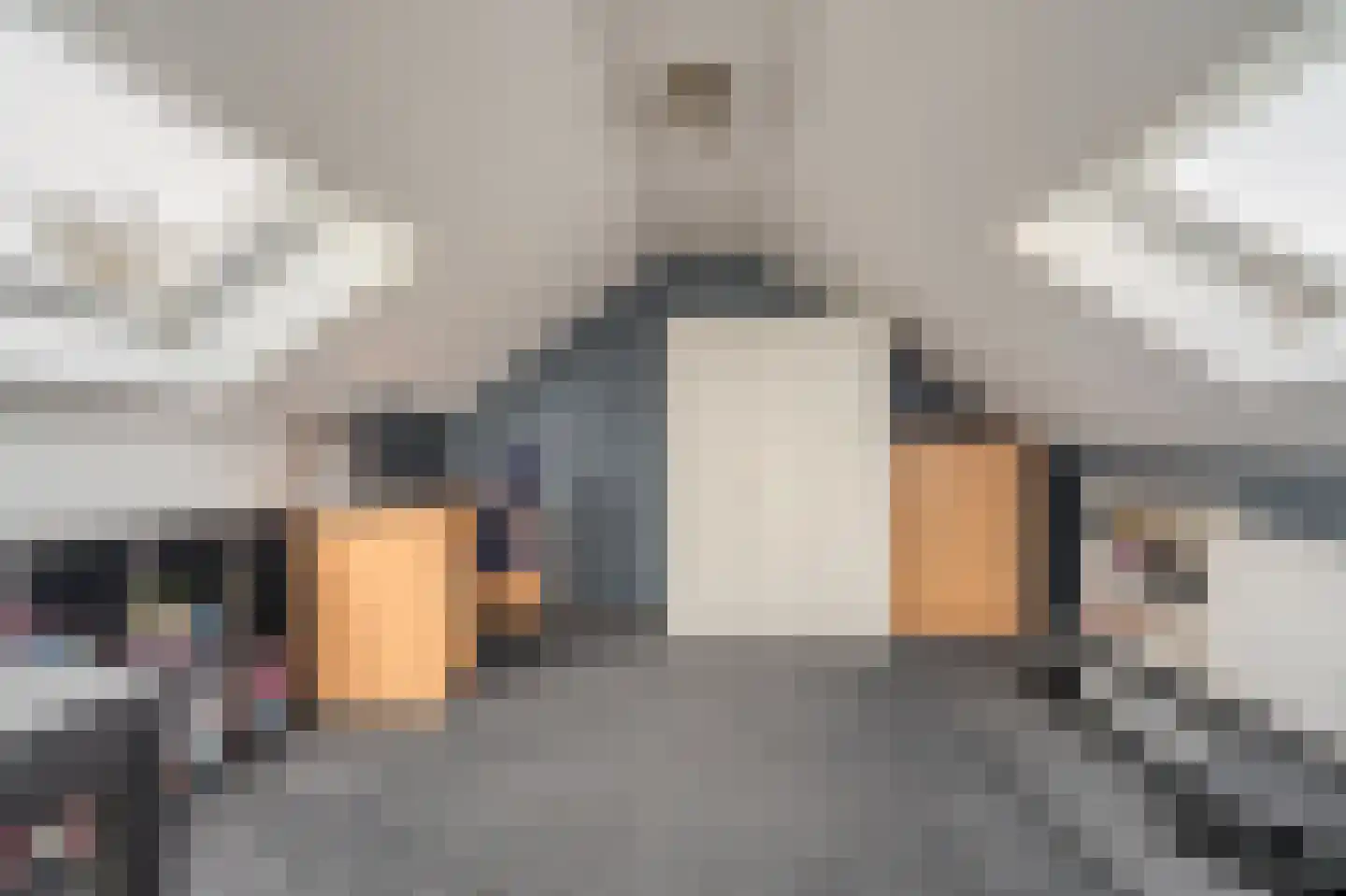 Mennersingelaan 4 Onstwedde thumbnail 33