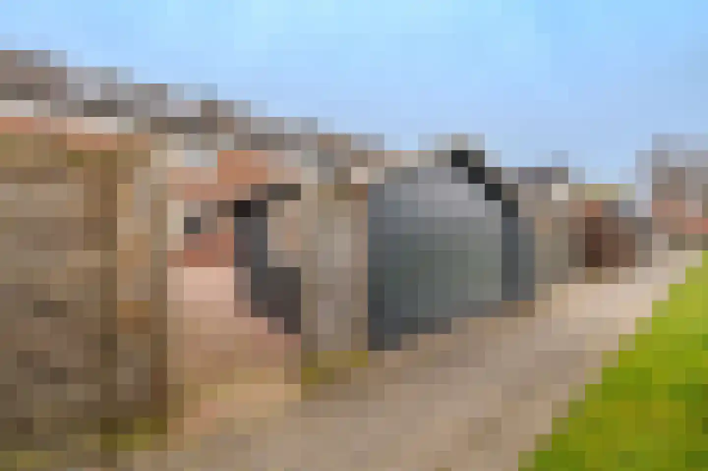 Mennersingelaan 4 Onstwedde thumbnail 9