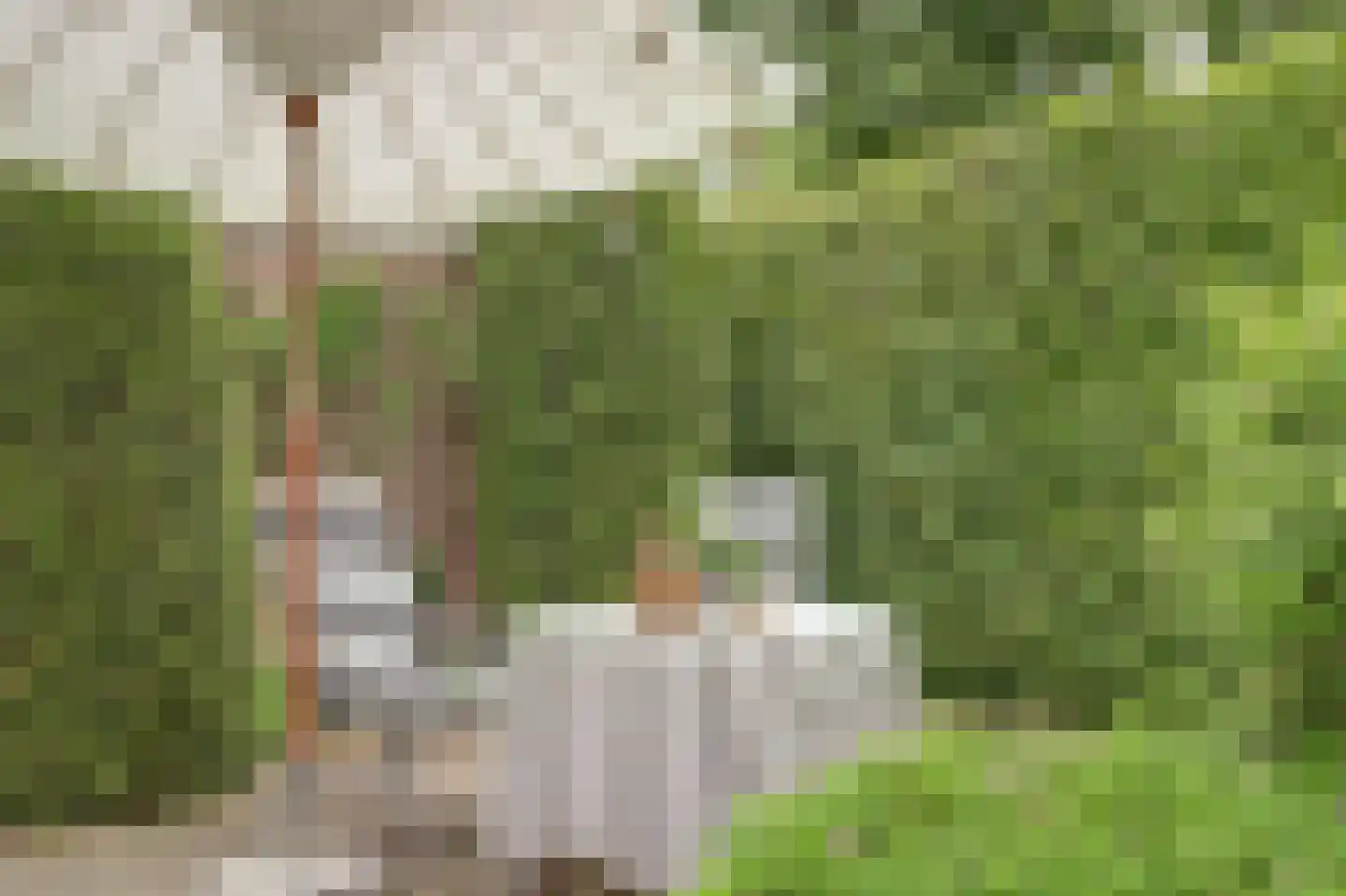 Mennersweide 14 Nieuwegein thumbnail 22