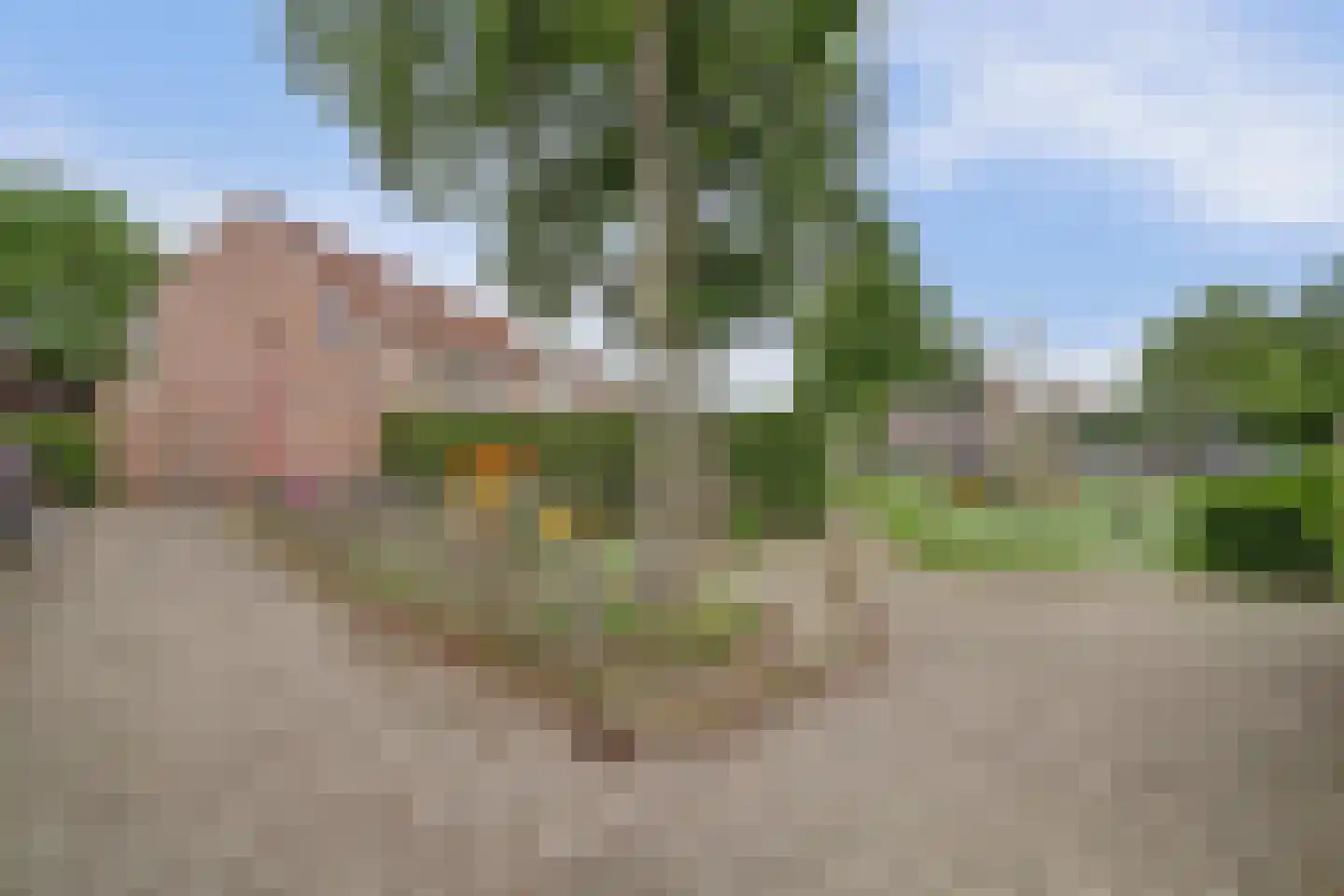 Mennersweide 14 Nieuwegein thumbnail 41