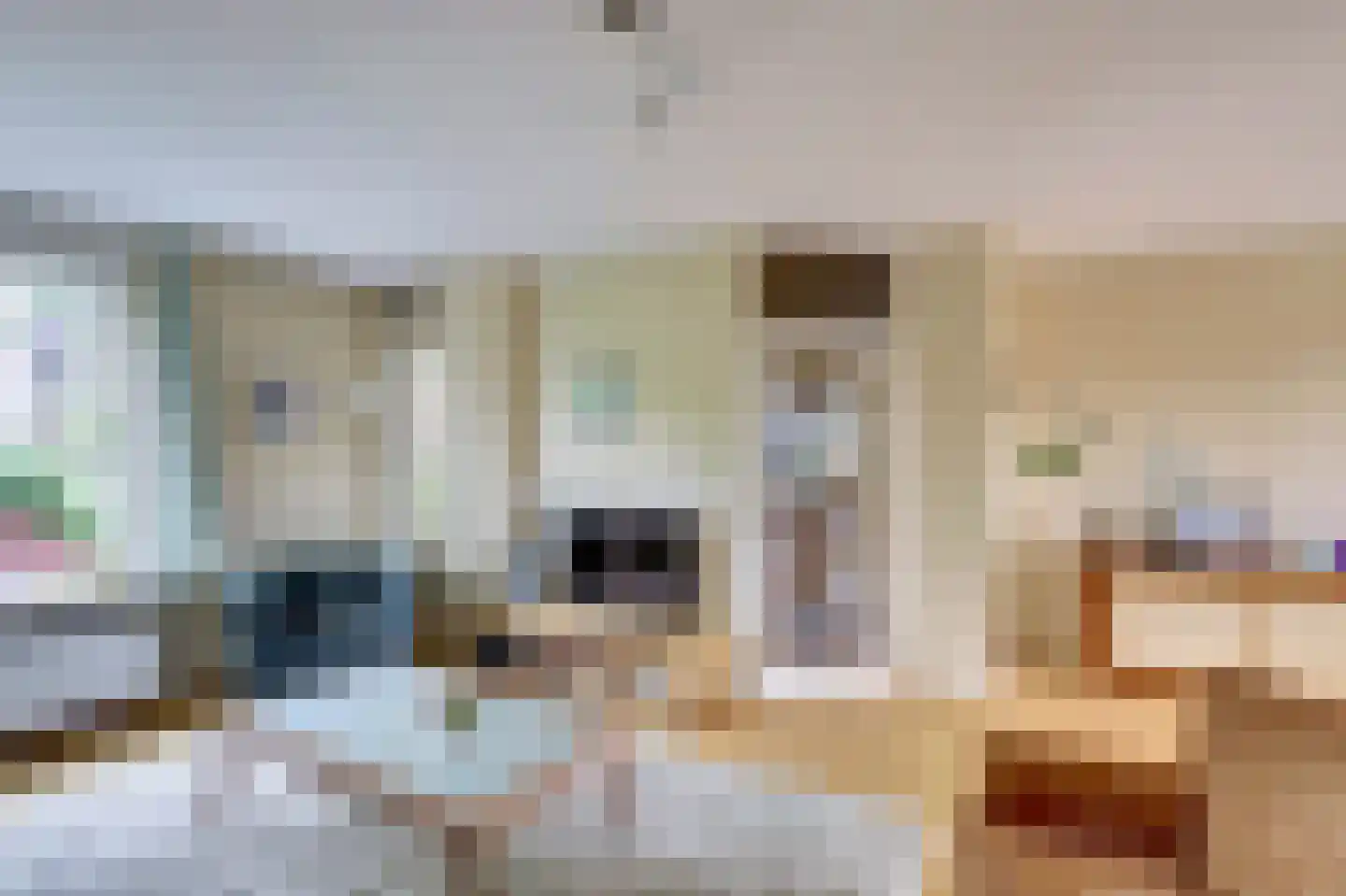 Mennersweide 14 Nieuwegein thumbnail 5