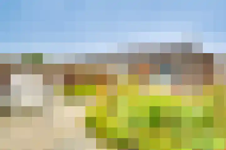 Mennersweide 24 Nieuwegein thumbnail 17