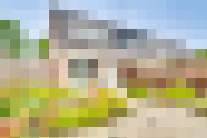 Mennersweide 24 Nieuwegein thumbnail 18