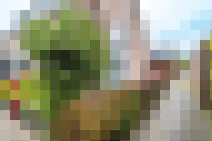 Mennersweide 24 Nieuwegein thumbnail 38