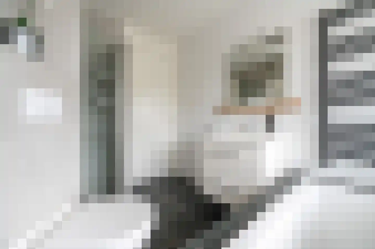 Mennestraat 54 Putten thumbnail 31