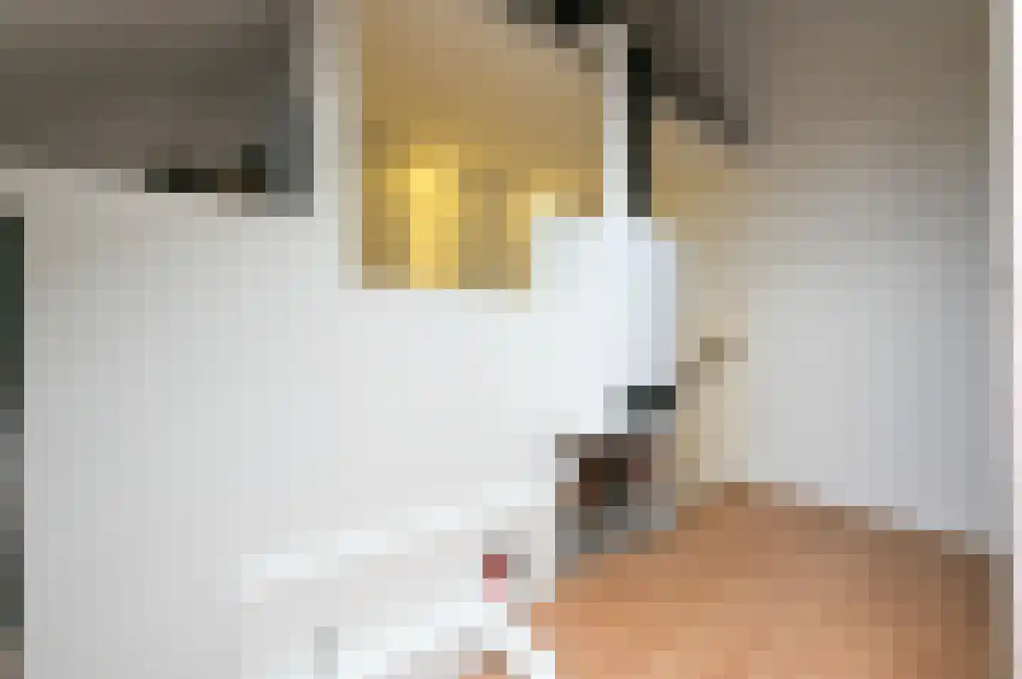 Mennestraat 54 Putten thumbnail 36