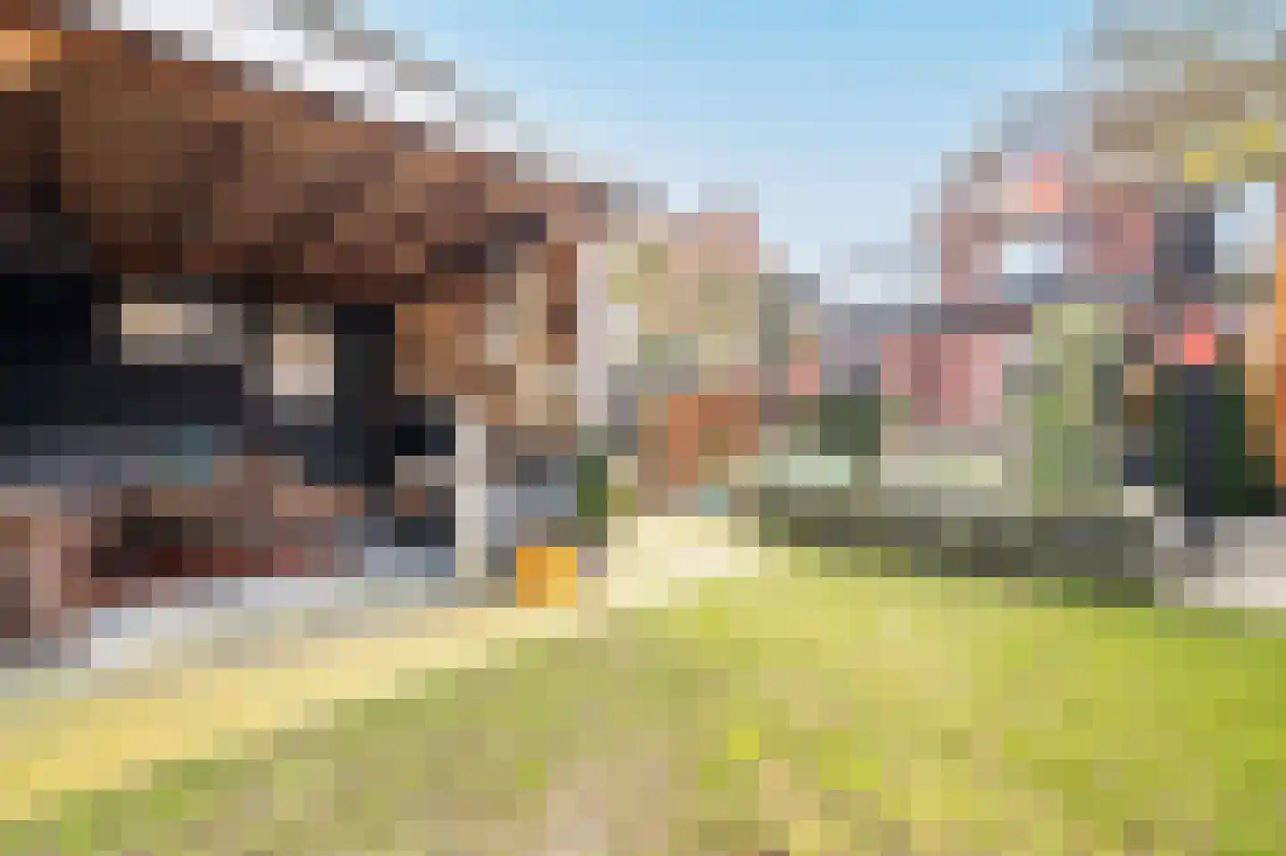 Mennestraat 54 Putten thumbnail 37
