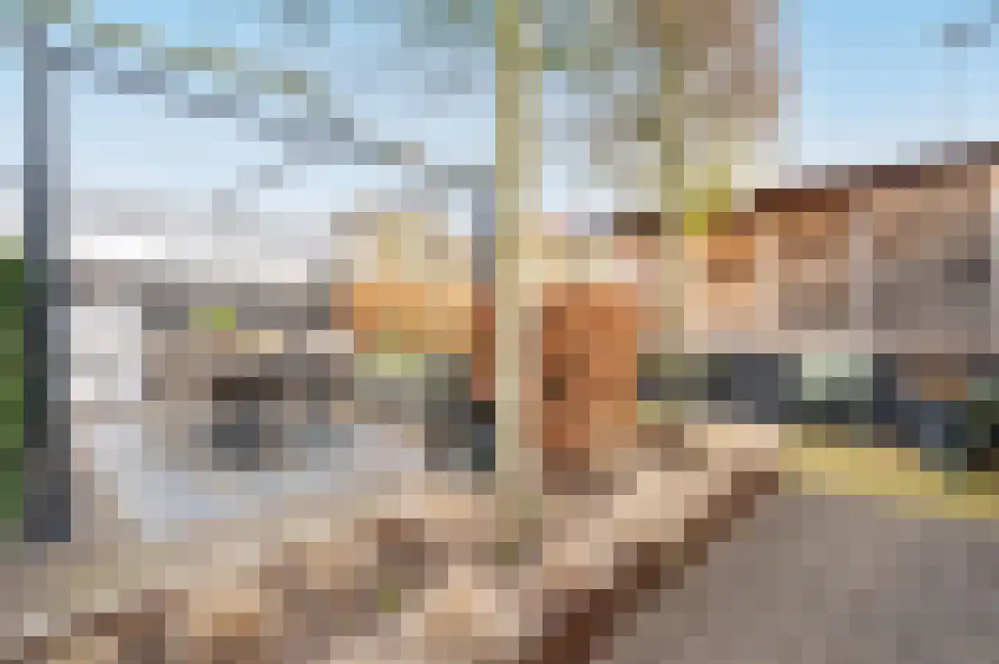 Mennestraat 54 Putten thumbnail 42