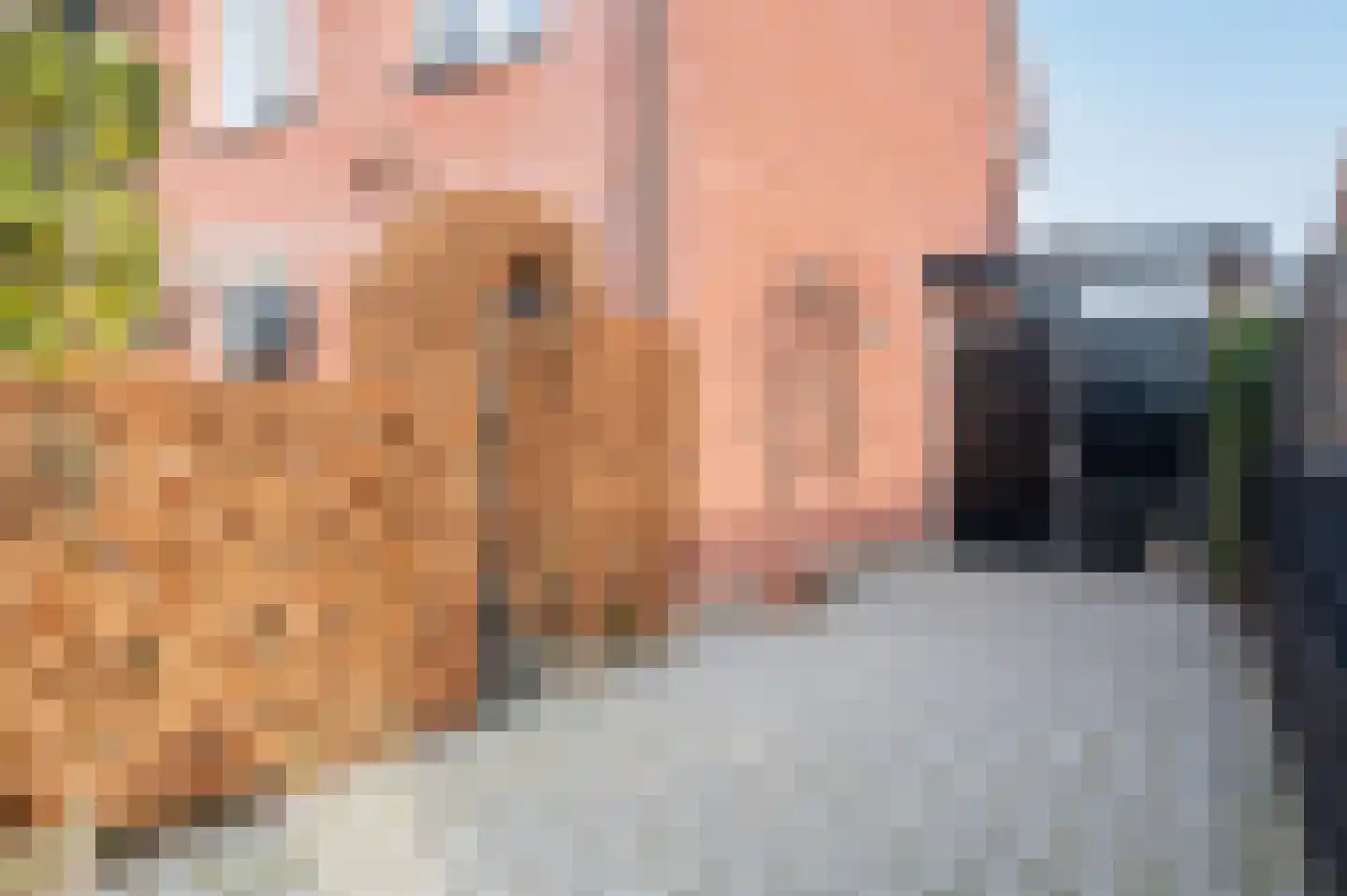 Mennestraat 54 Putten thumbnail 6