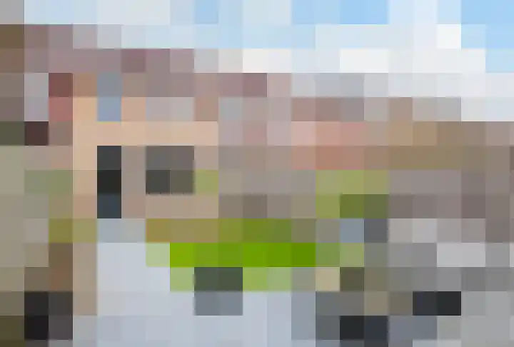 Mennestraat 56 Putten thumbnail 16