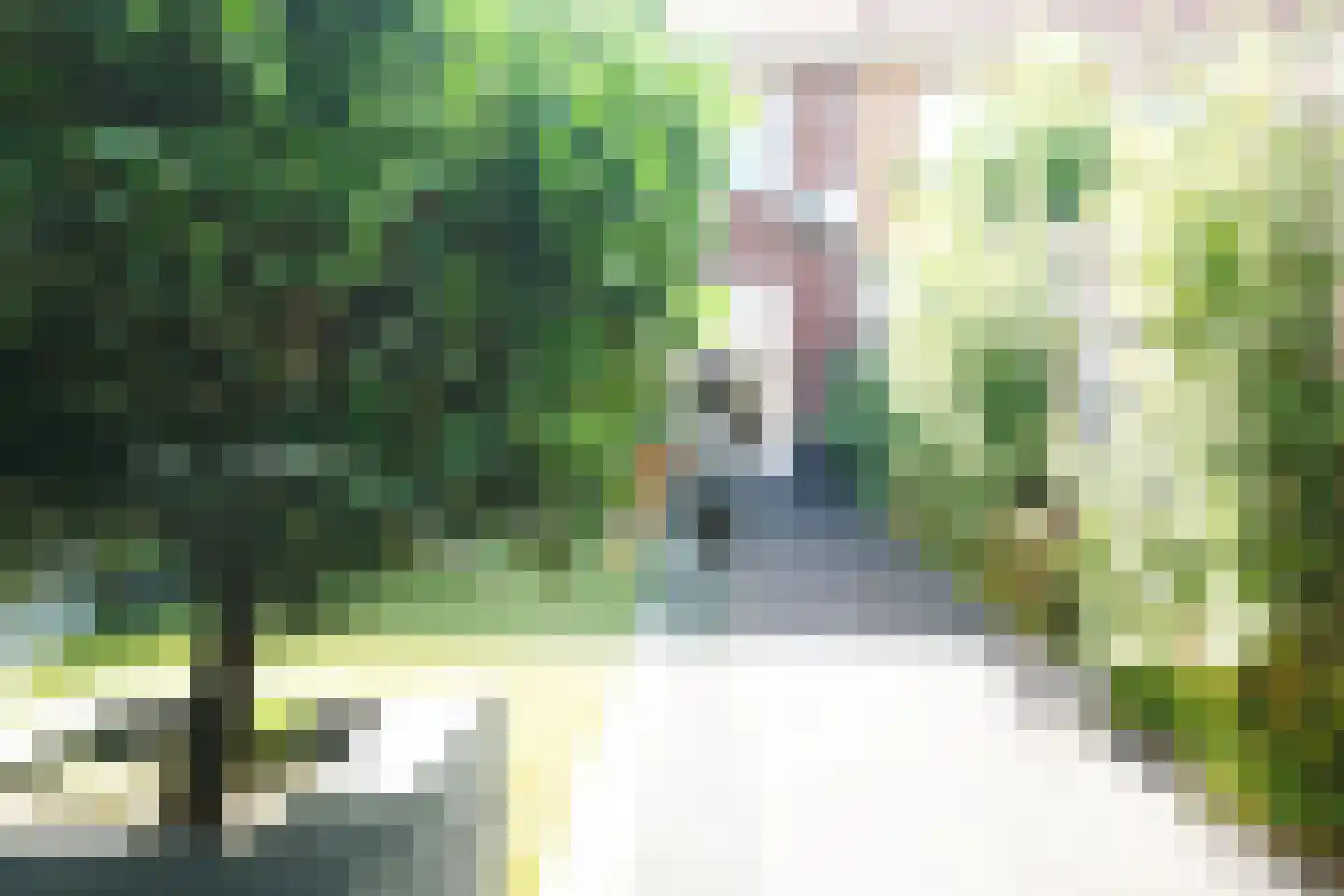 Mennestraat 70 Putten thumbnail 23