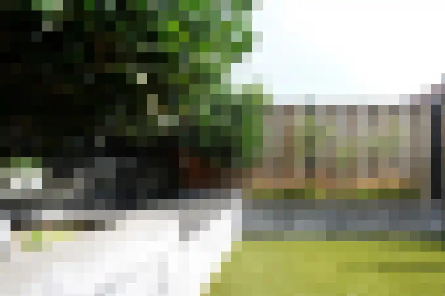 Mennestraat 70 Putten thumbnail 24
