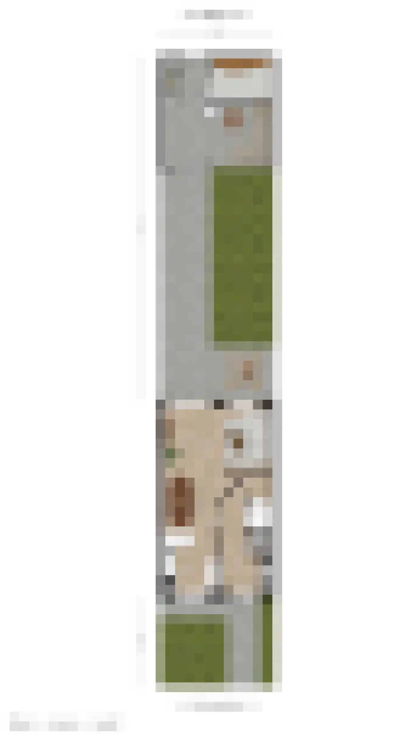 Mennestraat 70 Putten thumbnail 54