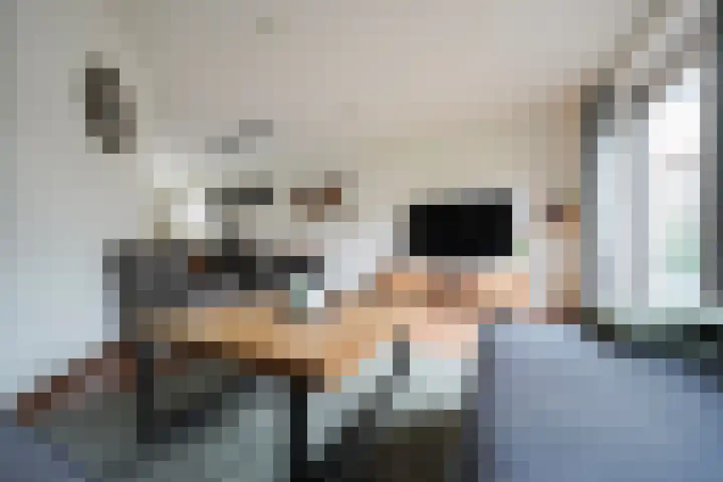Mennestraat 70 Putten thumbnail 8