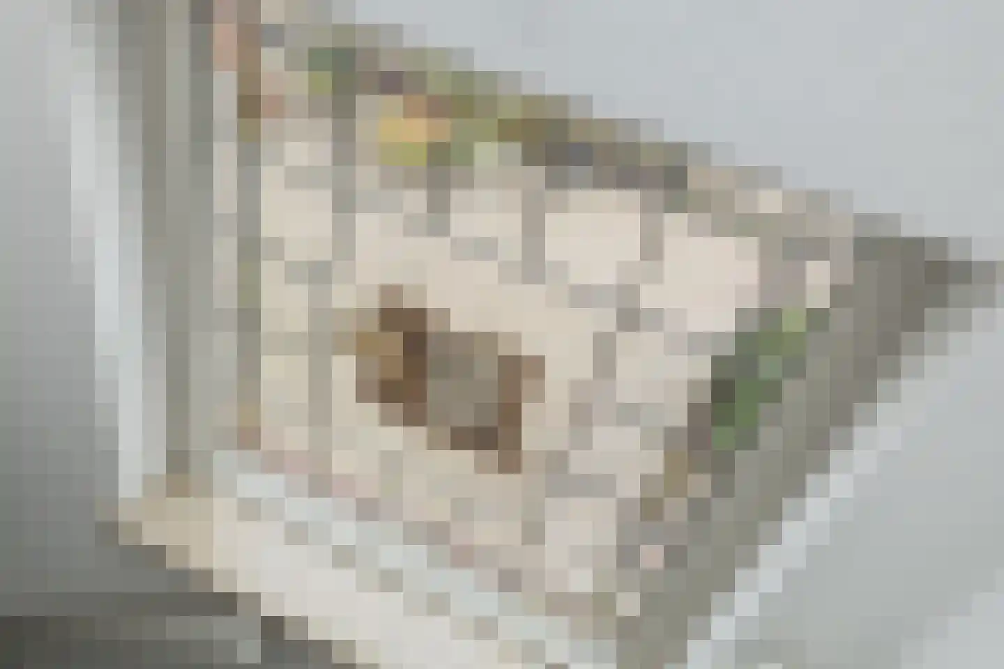 Menneweg 28 Sassenheim thumbnail 33