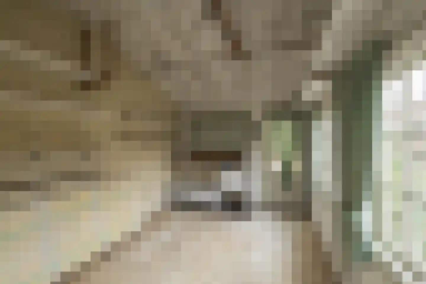 Menneweg 28 Sassenheim thumbnail 48