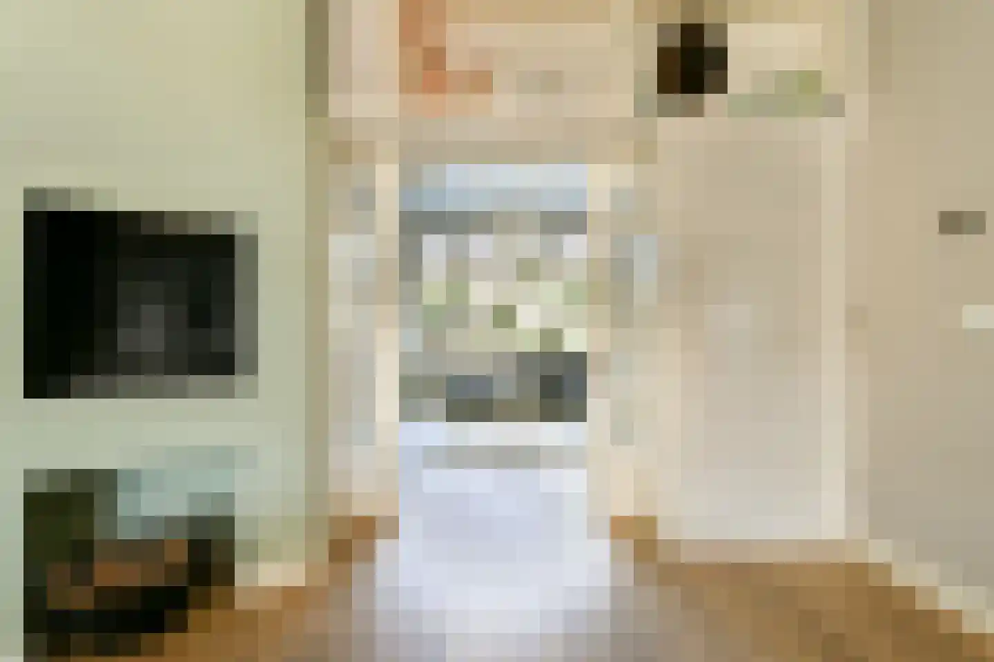 Menneweg 5 Sassenheim thumbnail 10