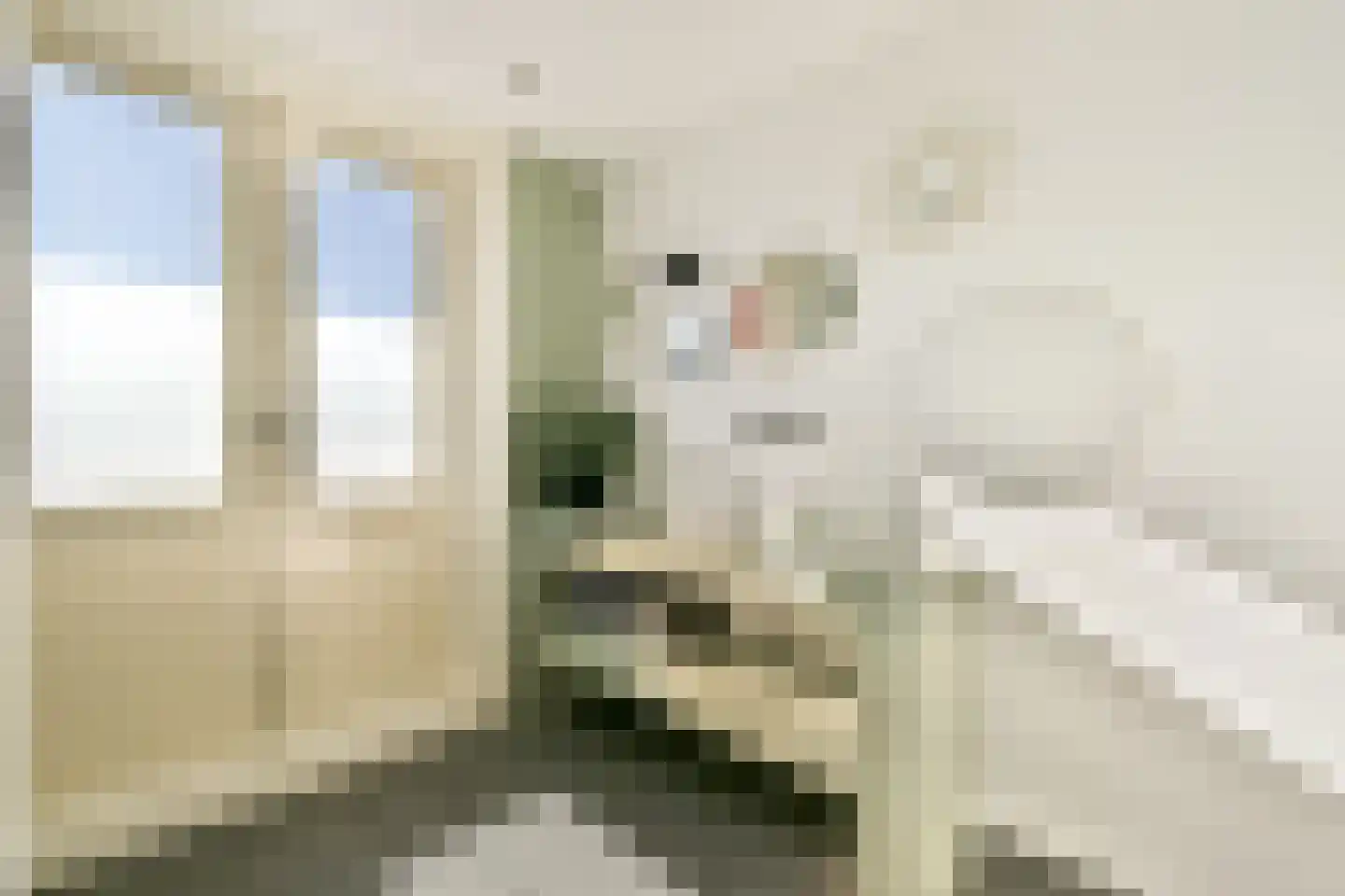 Menneweg 5 Sassenheim thumbnail 23