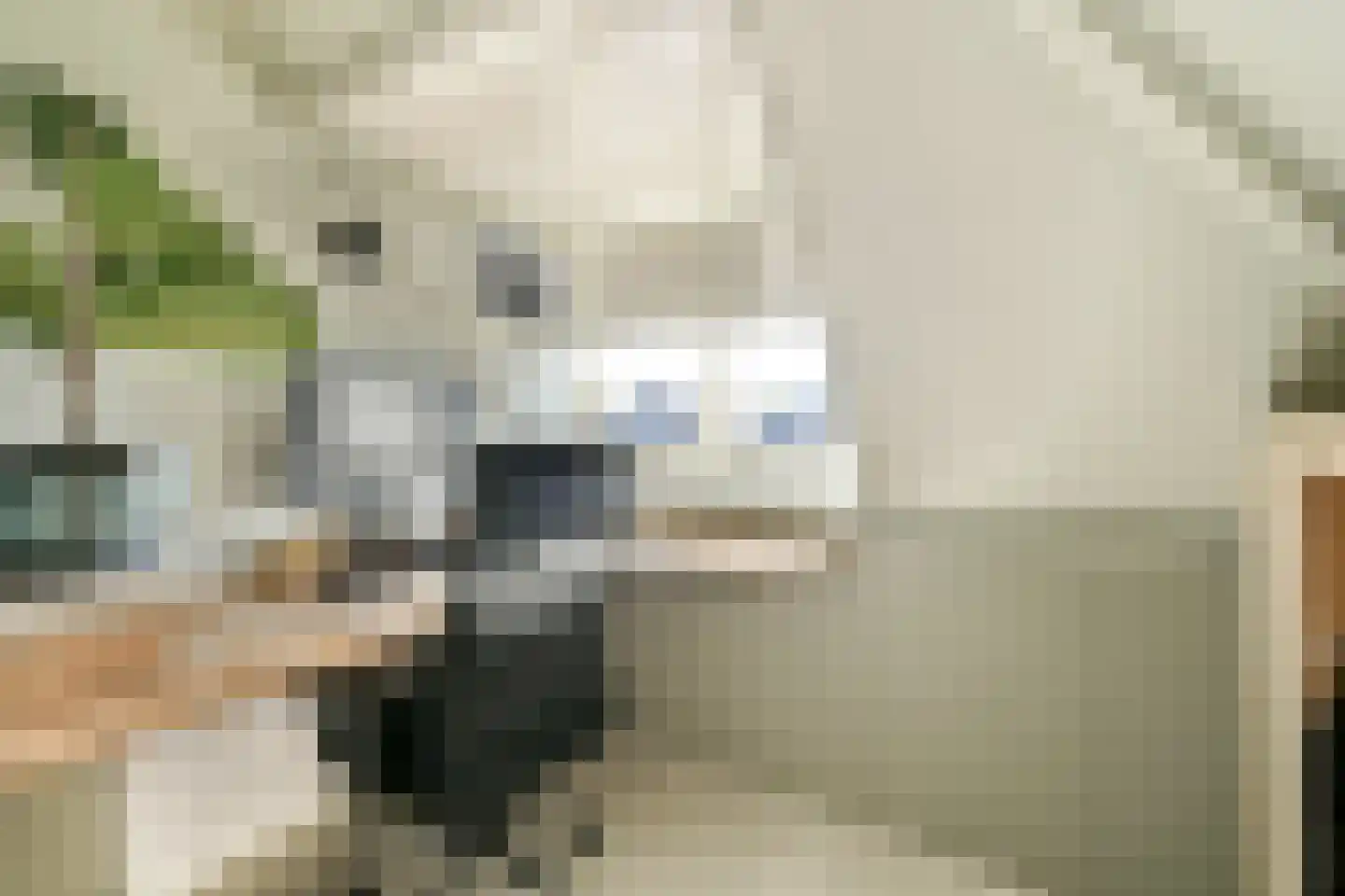 Menneweg 5 Sassenheim thumbnail 29