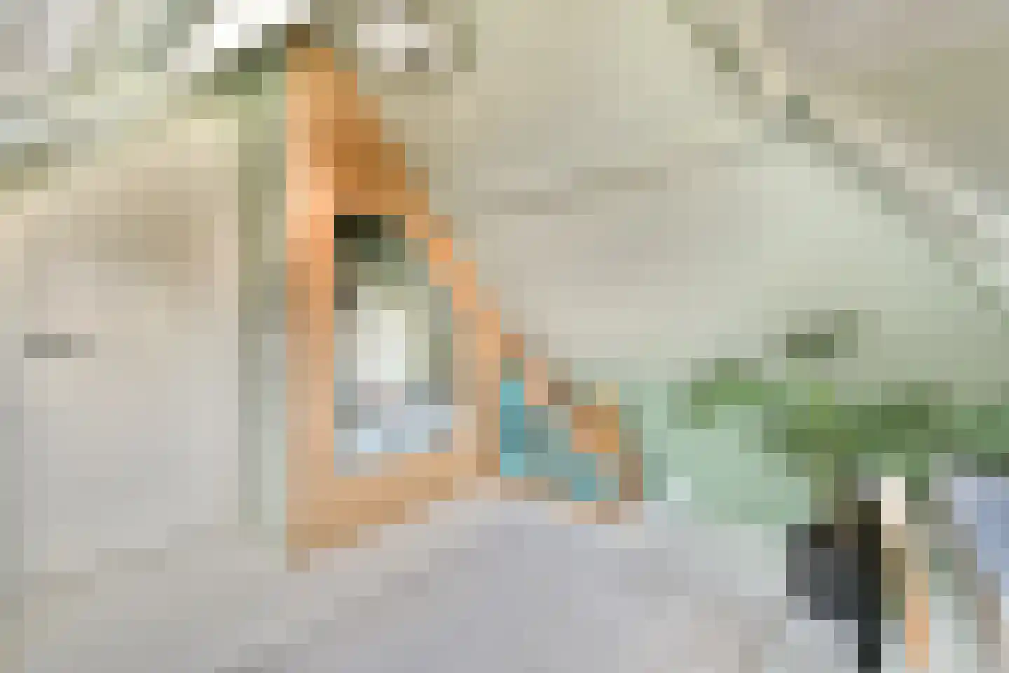Menneweg 5 Sassenheim thumbnail 31