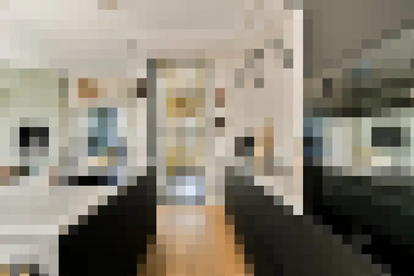 Menneweg 5 Sassenheim thumbnail 7