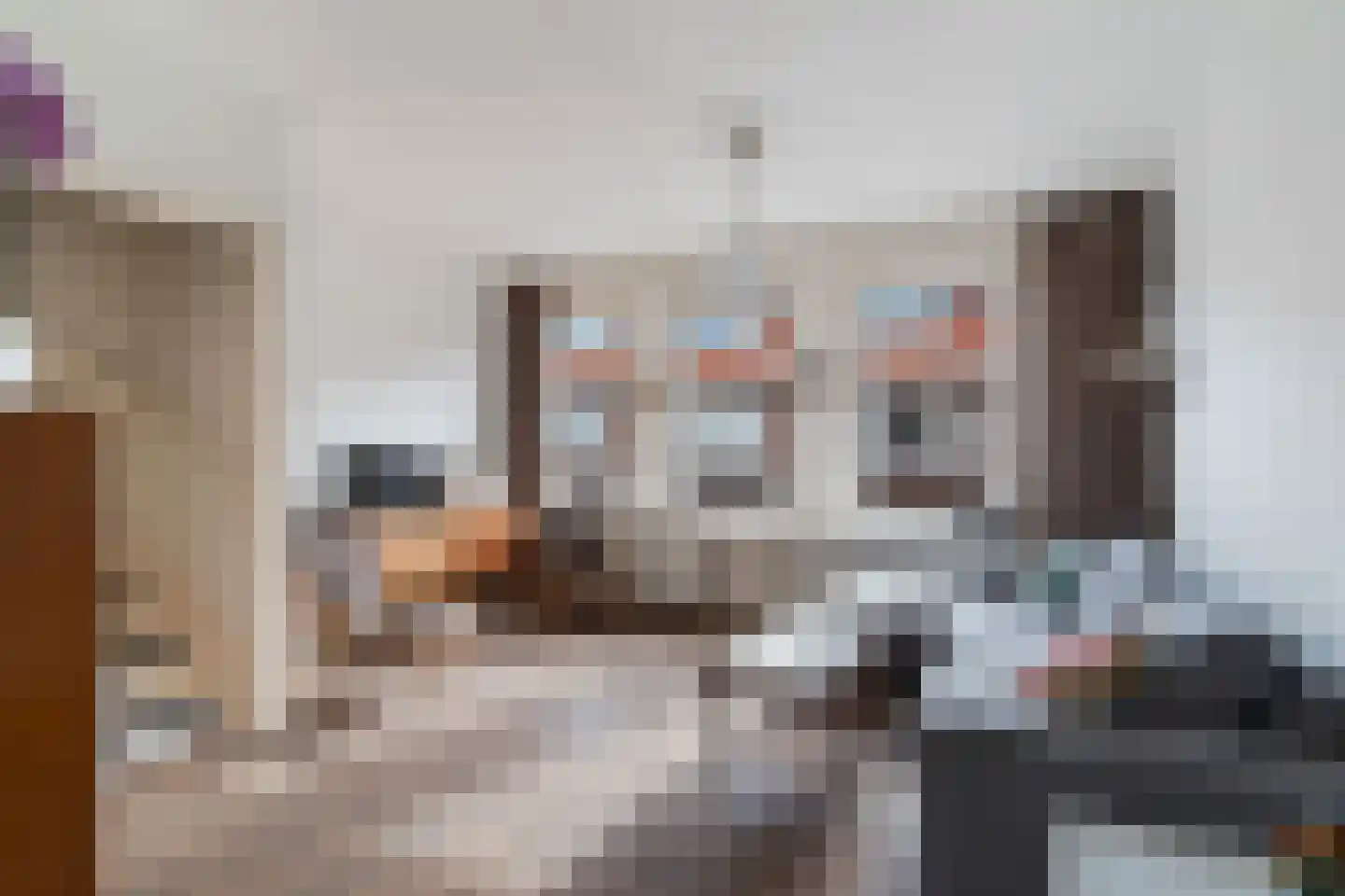 Menninckstraat 25 Den Haag thumbnail 6