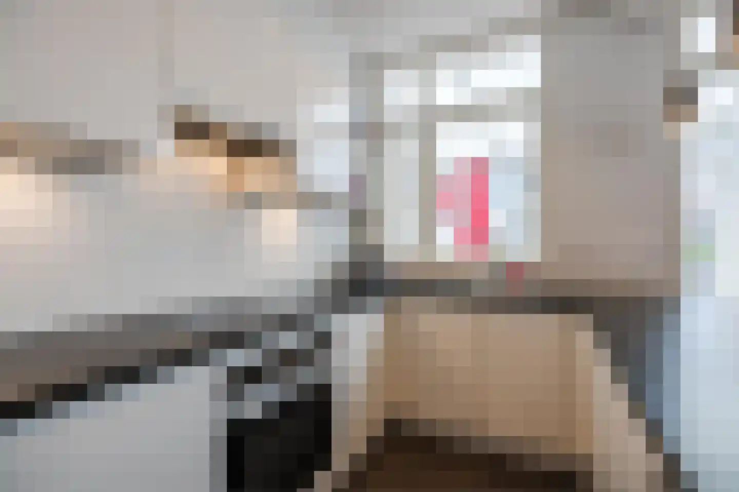Menninckstraat 54 Den Haag thumbnail 39