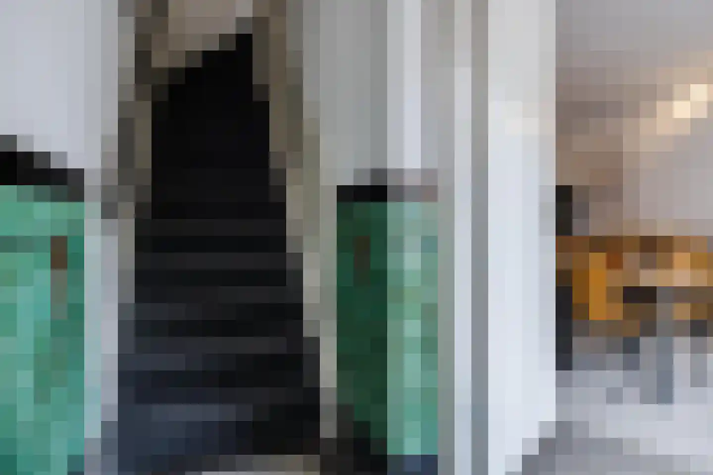 Menninckstraat 54 Den Haag thumbnail 5