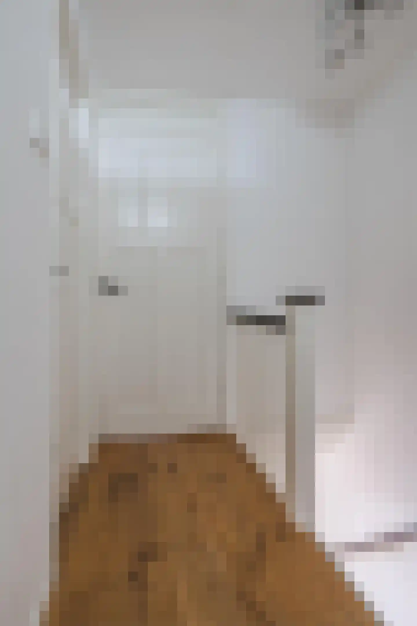Menninckstraat 54 Den Haag thumbnail 57