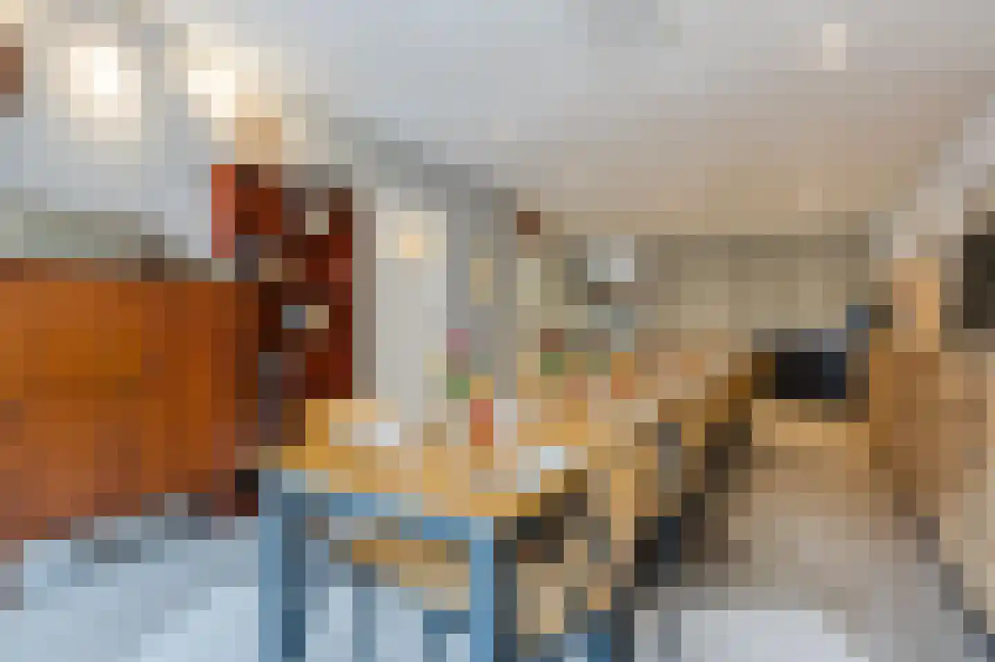Menninckstraat 54 Den Haag thumbnail 9
