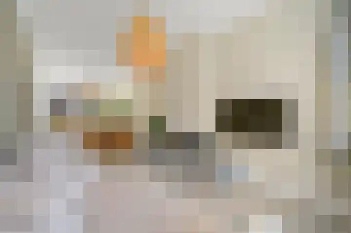 Menninckstraat 62 Den Haag thumbnail 6