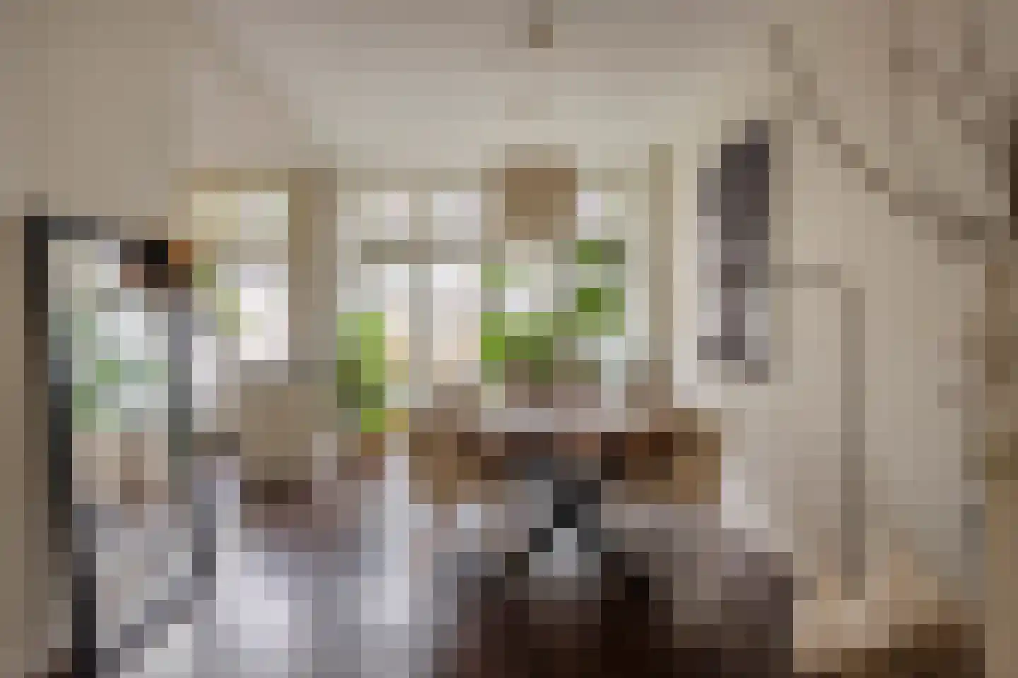 Menninckstraat 70 Den Haag thumbnail 12