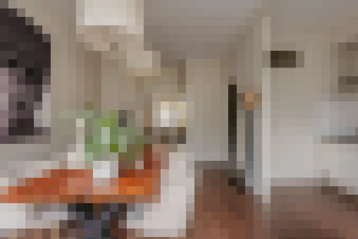 Menninckstraat 70 Den Haag thumbnail 19