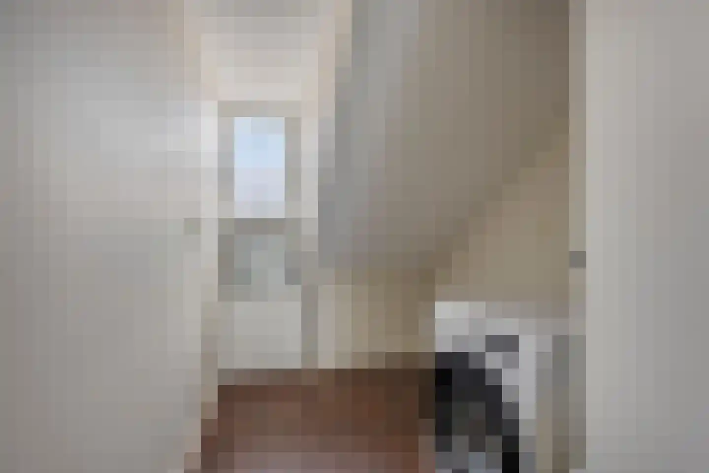Menninckstraat 70 Den Haag thumbnail 39