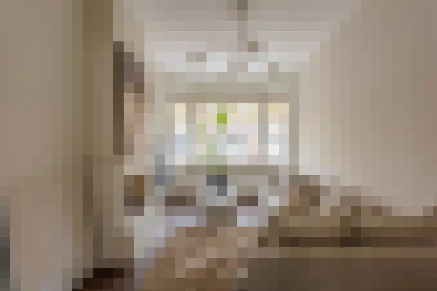 Menninckstraat 70 Den Haag thumbnail 7