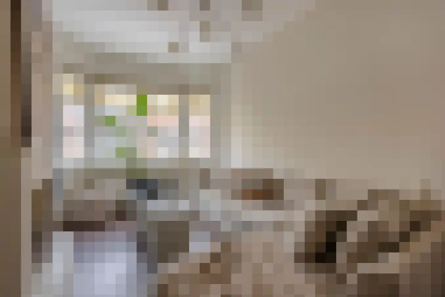 Menninckstraat 70 Den Haag thumbnail 8