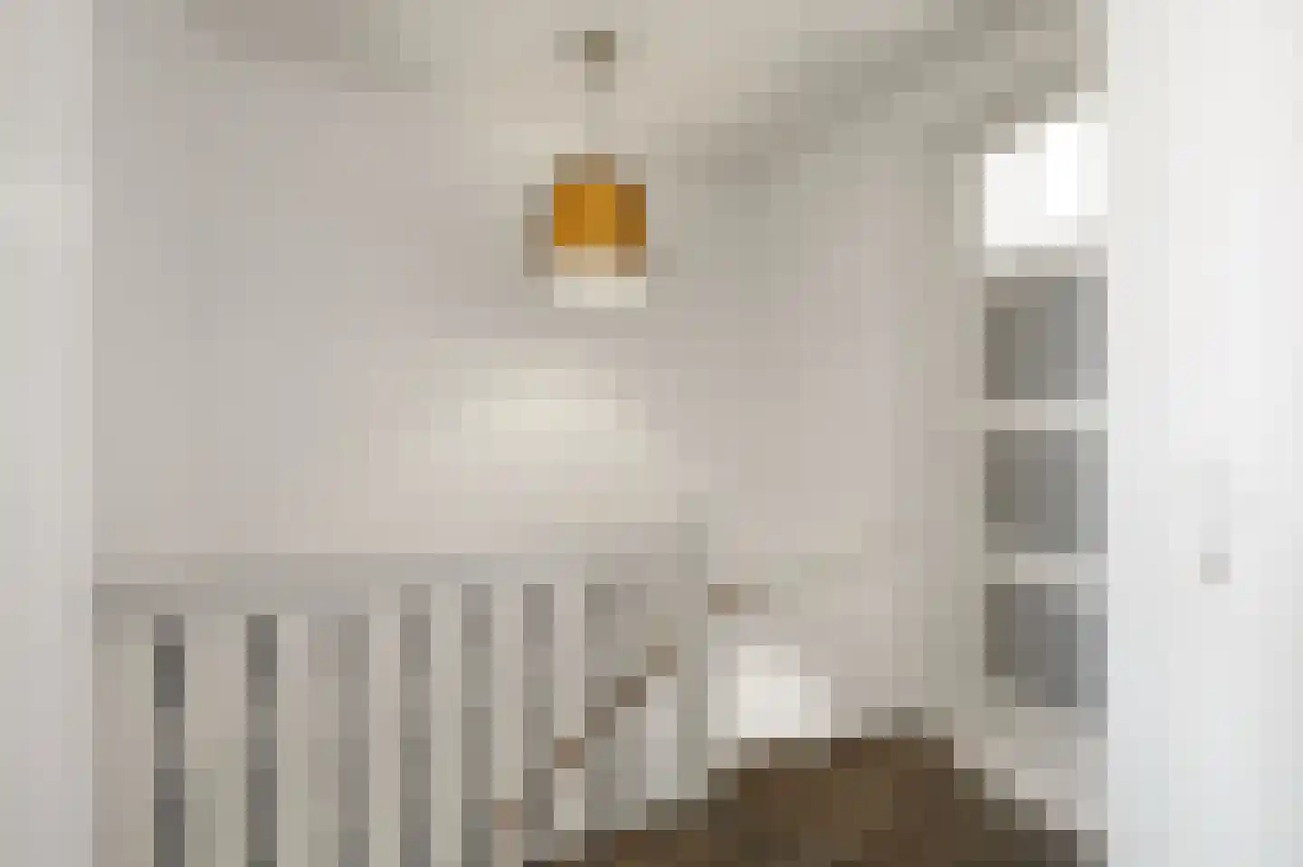 Menninckstraat 82 Den Haag thumbnail 33