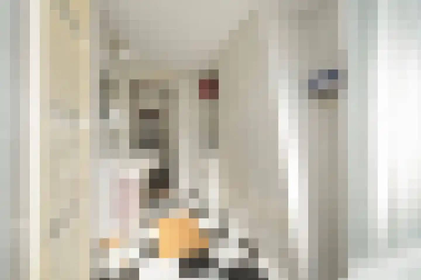 Menninckstraat 82 Den Haag thumbnail 35