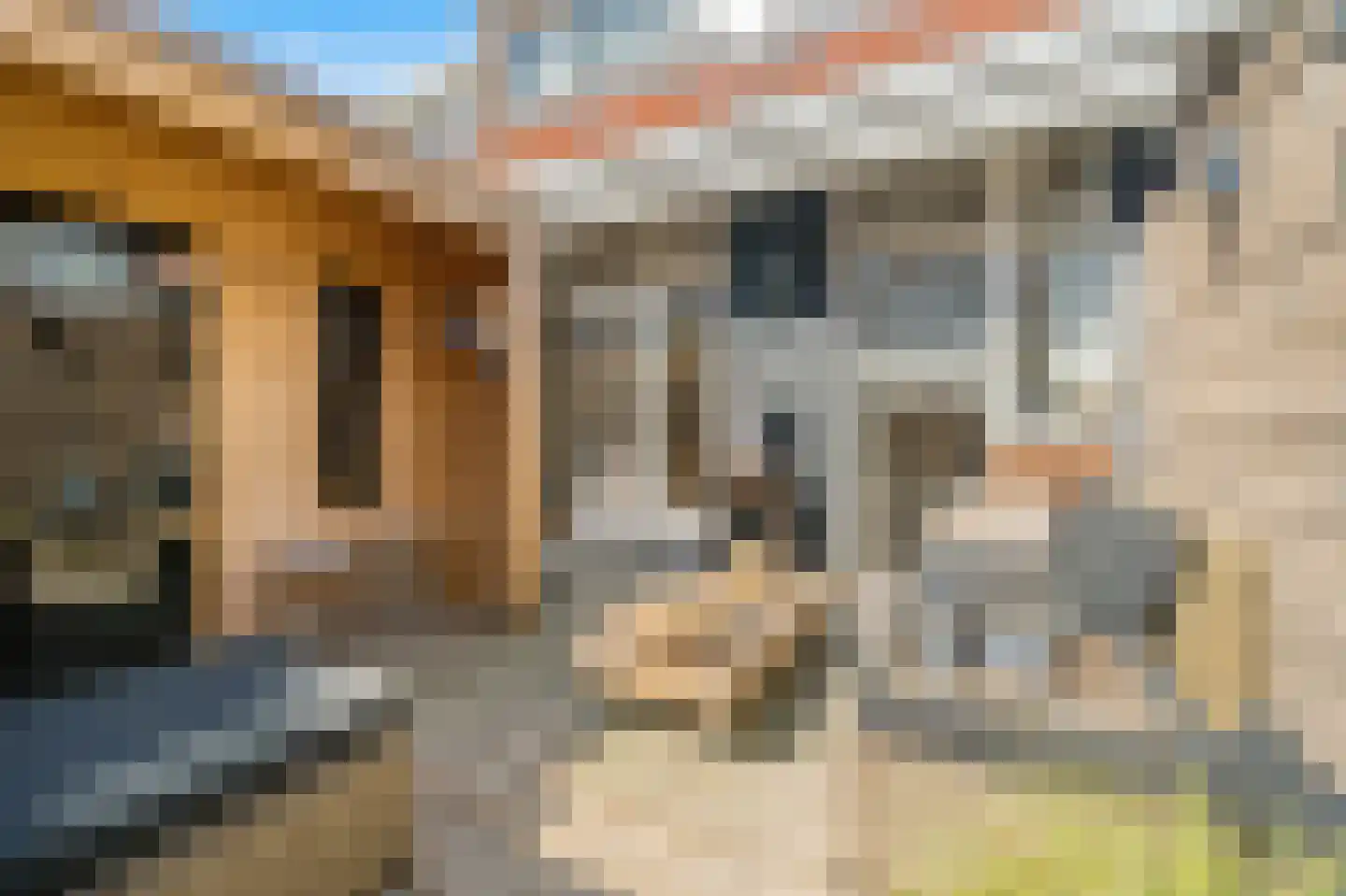 Menninckstraat 82 Den Haag thumbnail 4