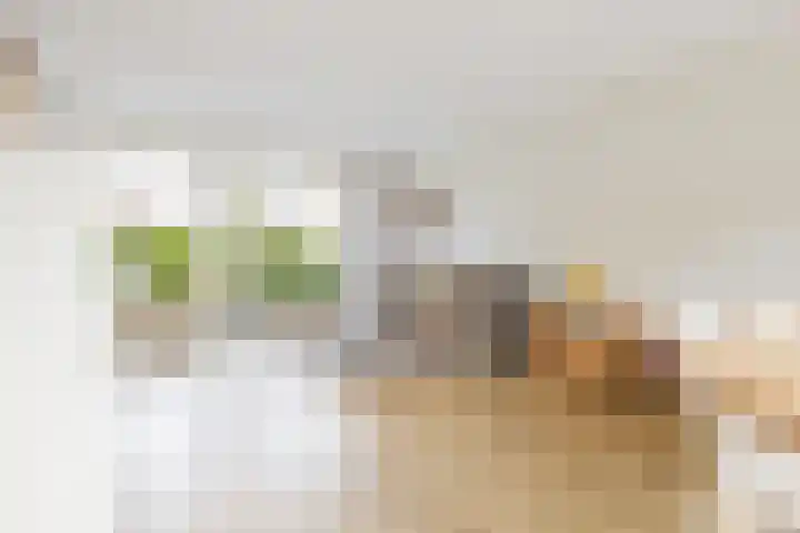 Menning 17 Oudehaske thumbnail 12