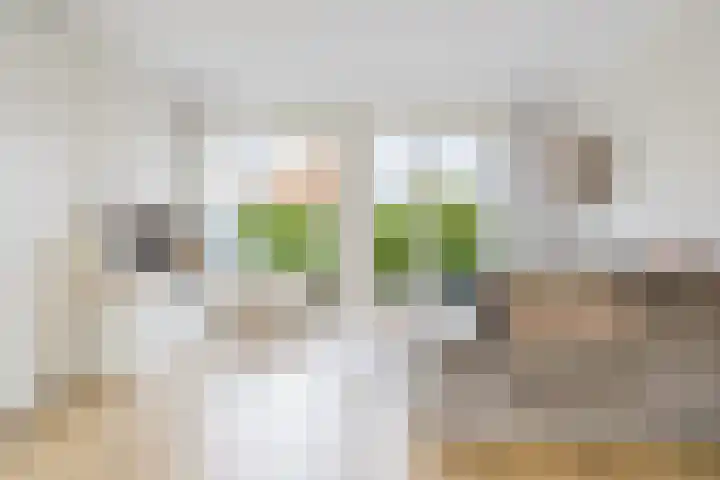 Menning 17 Oudehaske thumbnail 13